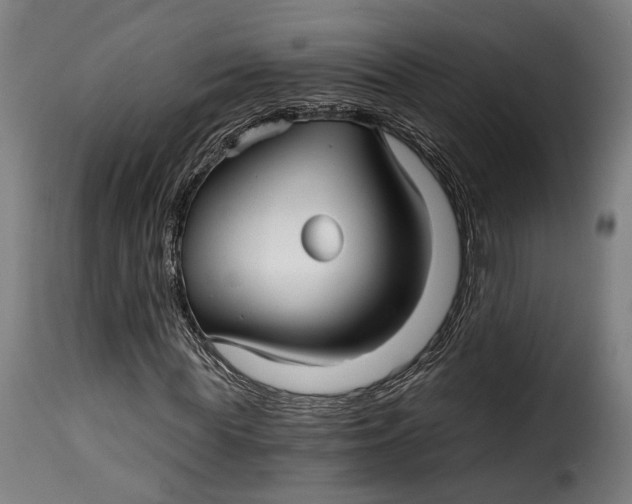 X0000115270819200911201726