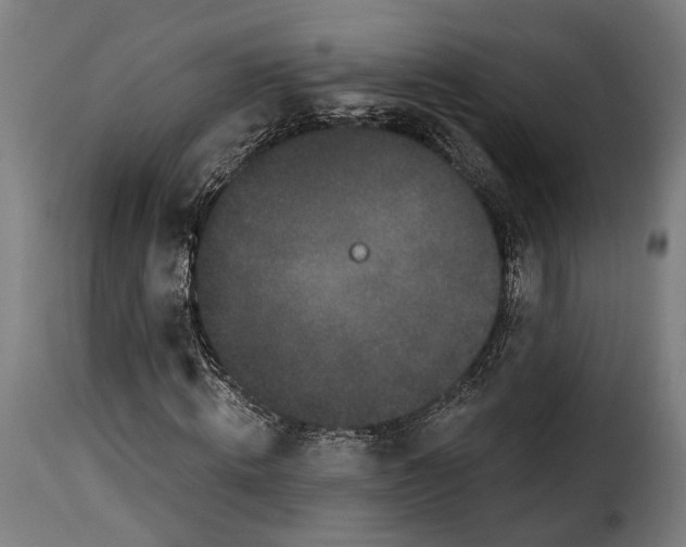 X0000115270820200911201726