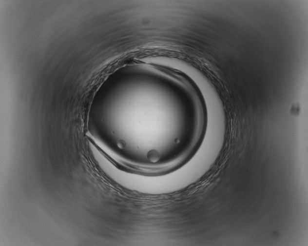 X0000115270821200911201726
