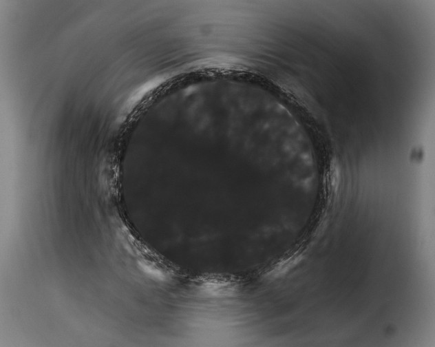 X0000115270822200911201726