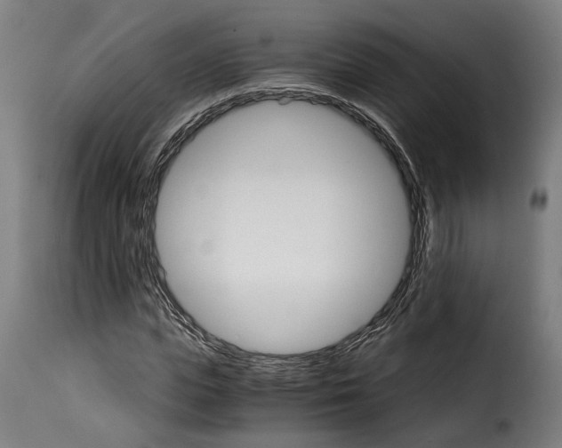 X0000115270823200911201726