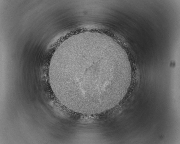 X0000115270824200911201726