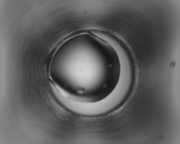 X0000115270825200911201726
