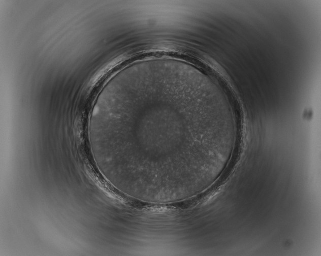 X0000115270826200911201726