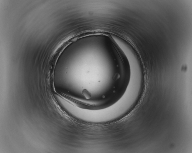 X0000115270827200911201726