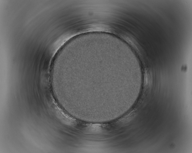 X0000115270828200911201726