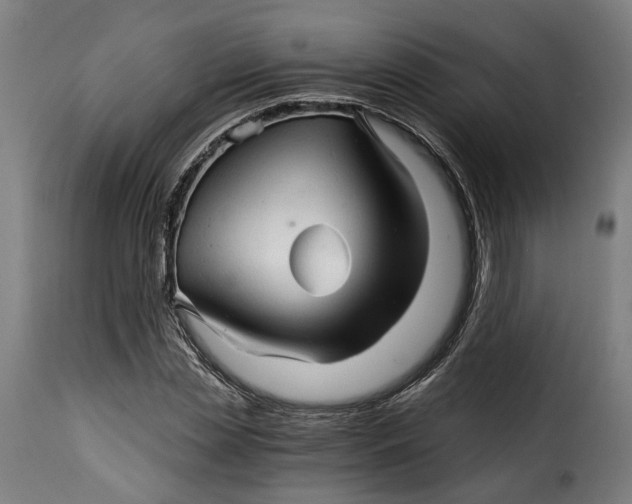 X0000115270829200911201726