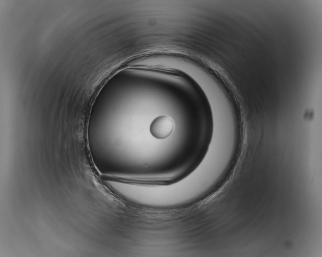 X0000115270833200911201727