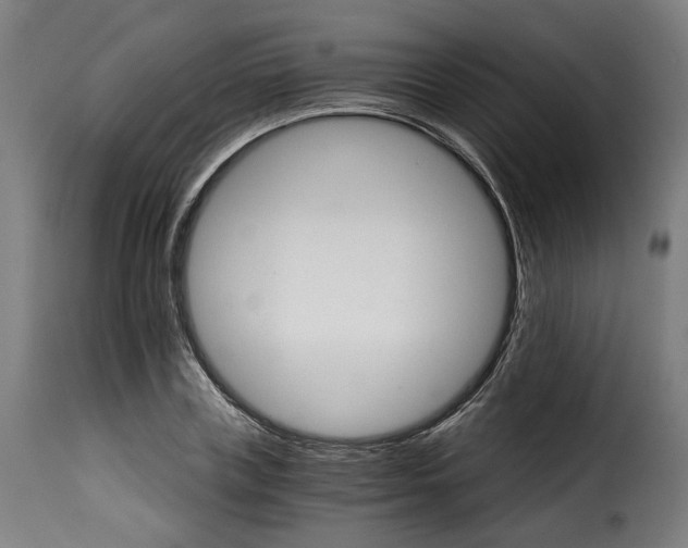 X0000115270835200911201727