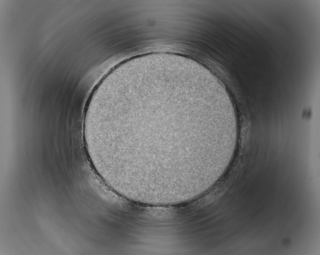X0000115270836200911201727