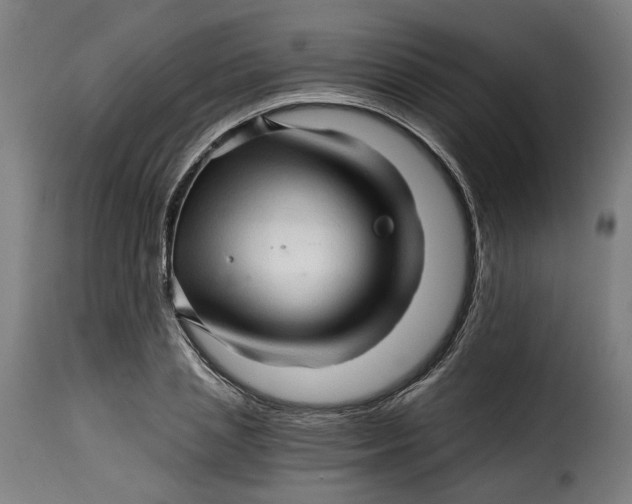 X0000115270837200911201727