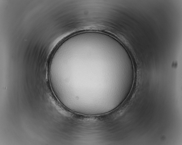 X0000115270838200911201727