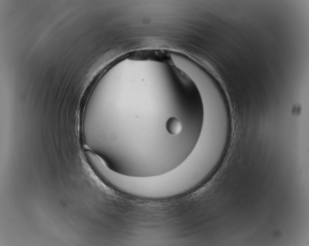 X0000115270839200911201727
