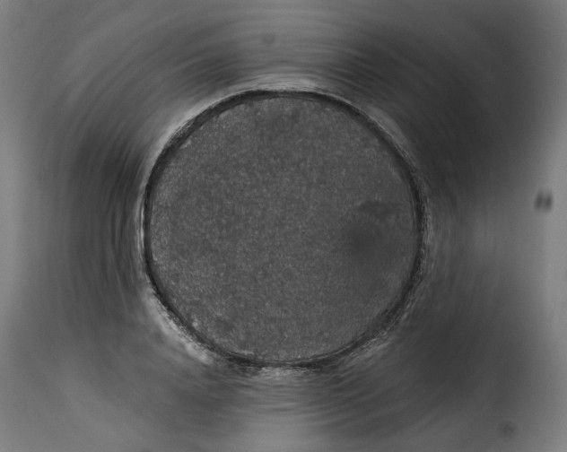 X0000115270840200911201727