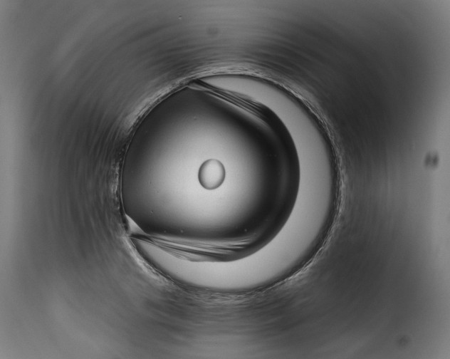 X0000115270841200911201727