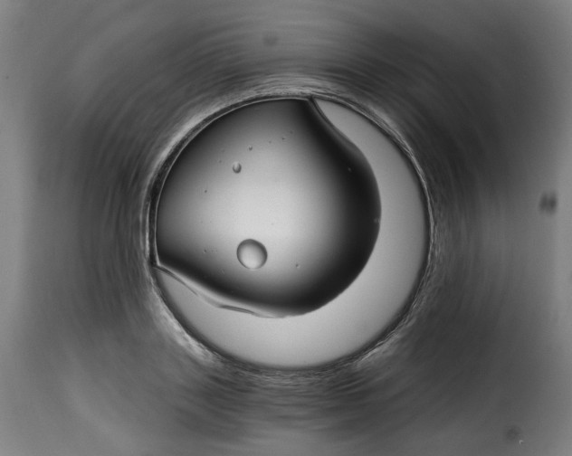 X0000115270843200911201727