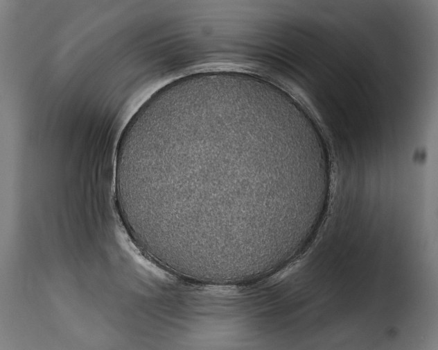 X0000115270844200911201727