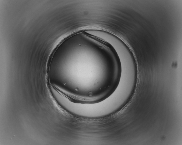 X0000115270845200911201727