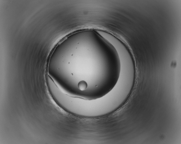X0000115270847200911201727