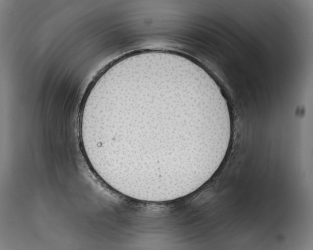 X0000115270848200911201727