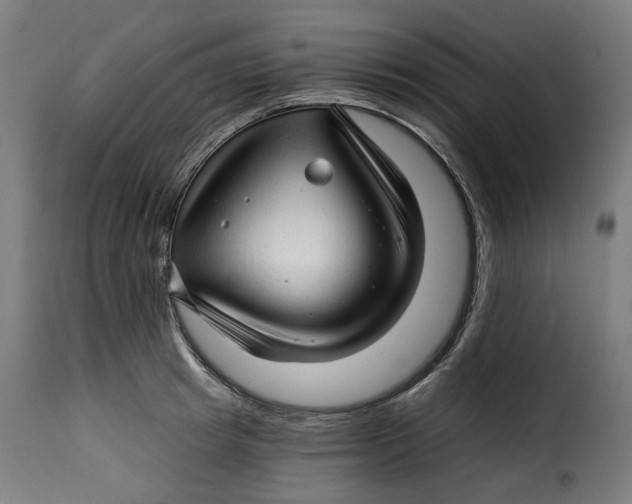 X0000115270849200911201727