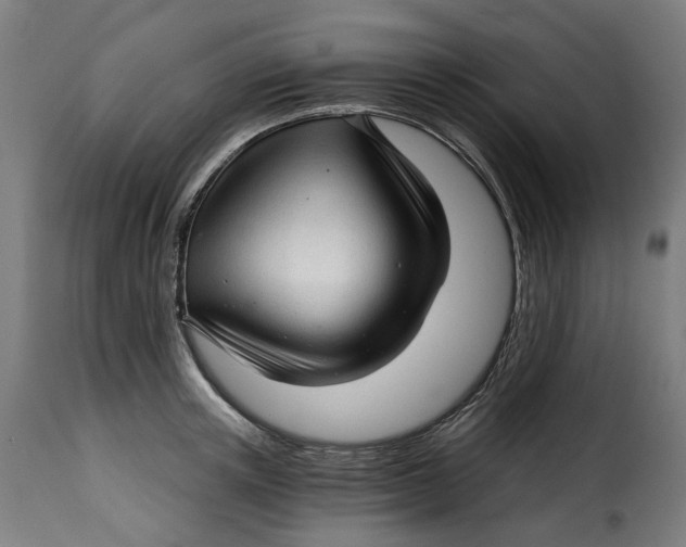 X0000115270851200911201727