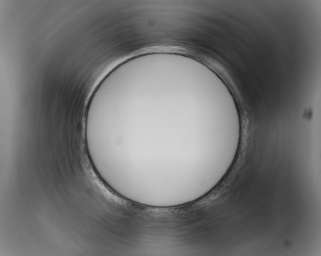 X0000115270852200911201727