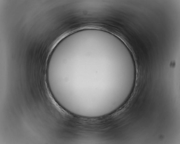 X0000115270853200911201727