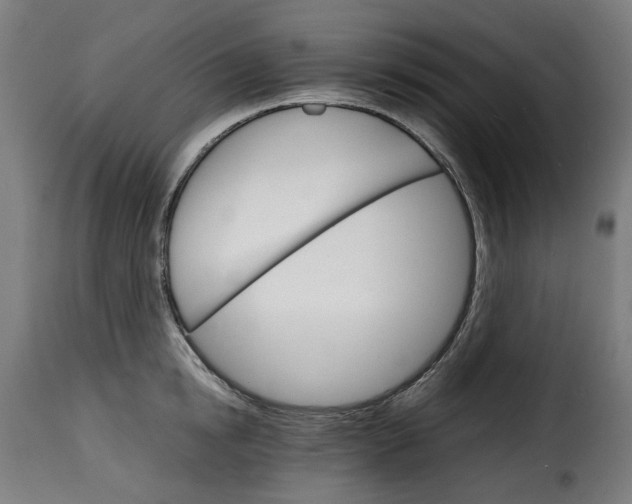 X0000115270854200911201727