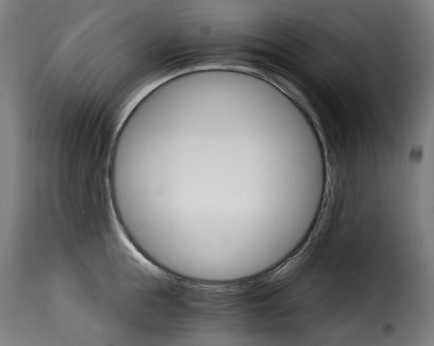 X0000115270855200911201727
