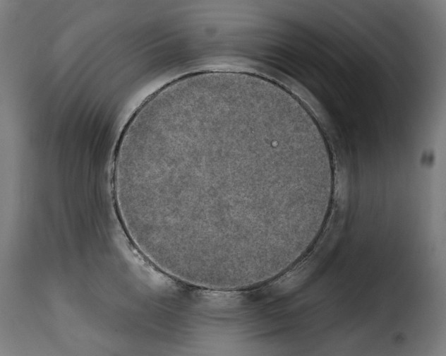 X0000115270856200911201727