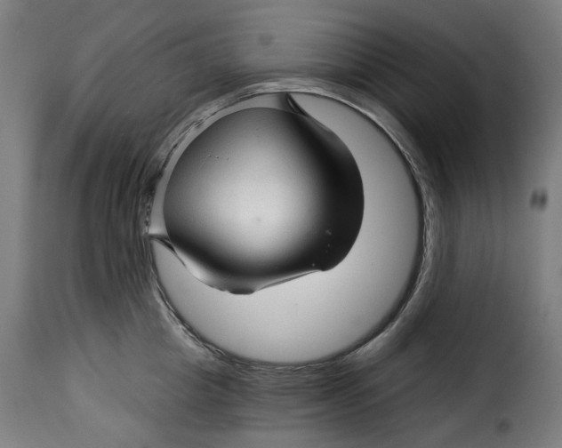 X0000115270857200911201727