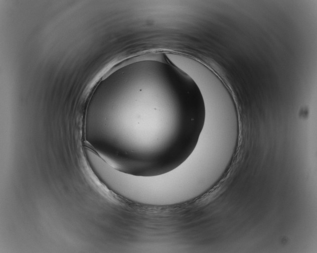 X0000115270859200911201727