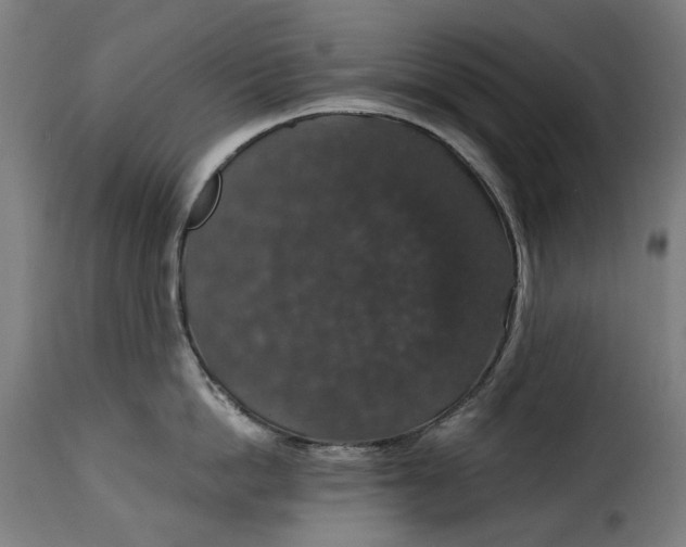 X0000115270862200911201727
