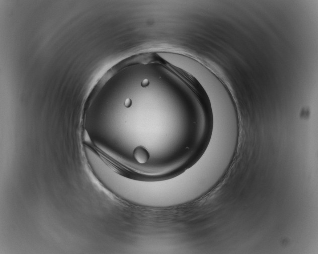 X0000115270863200911201727