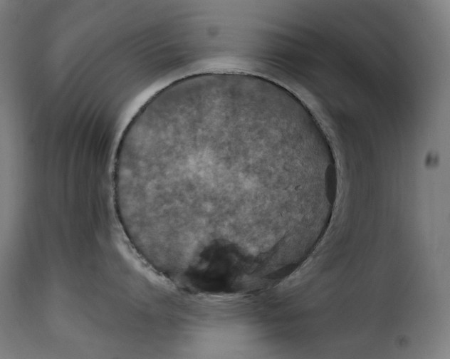 X0000115270864200911201727