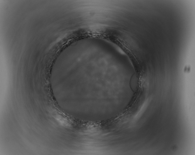 X0000115270865200911201726