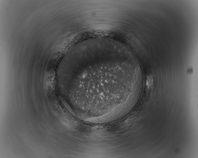 X0000115270867200911201726