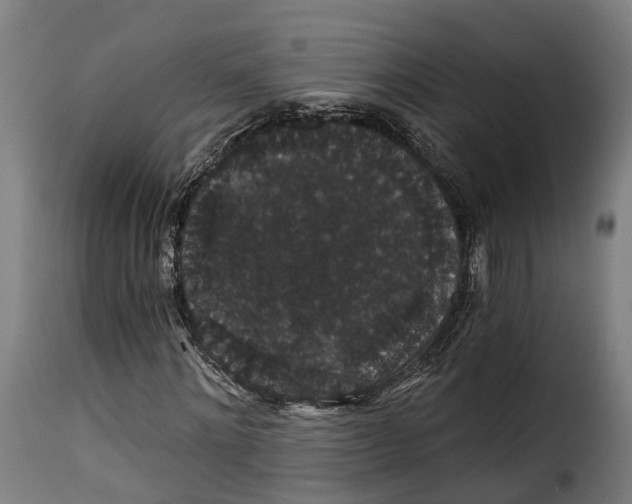 X0000115270868200911201726