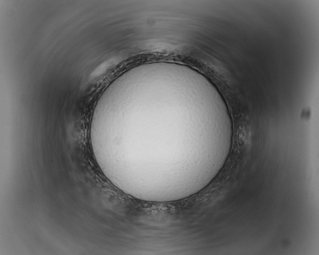 X0000115270869200911201726