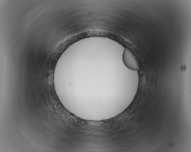 X0000115270870200911201726