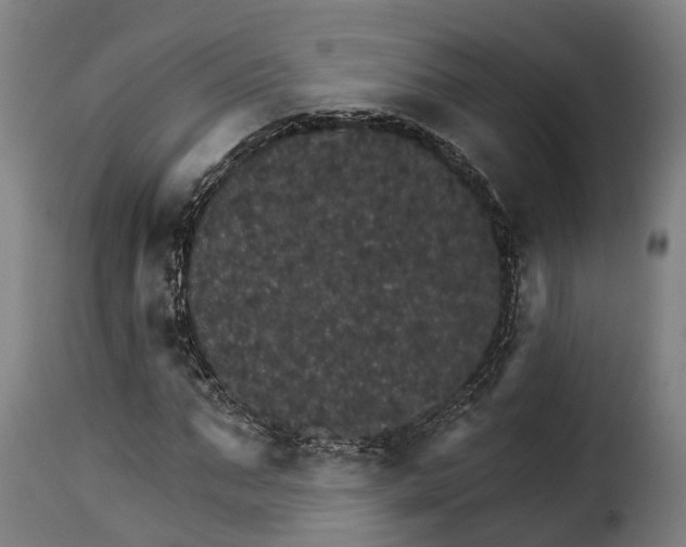 X0000115270871200911201726