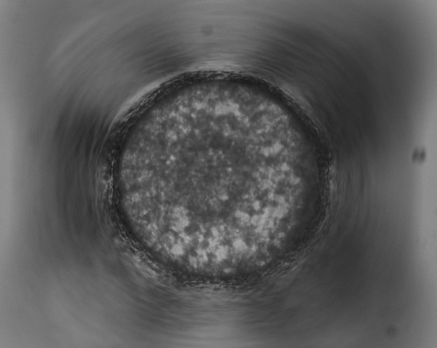 X0000115270872200911201726
