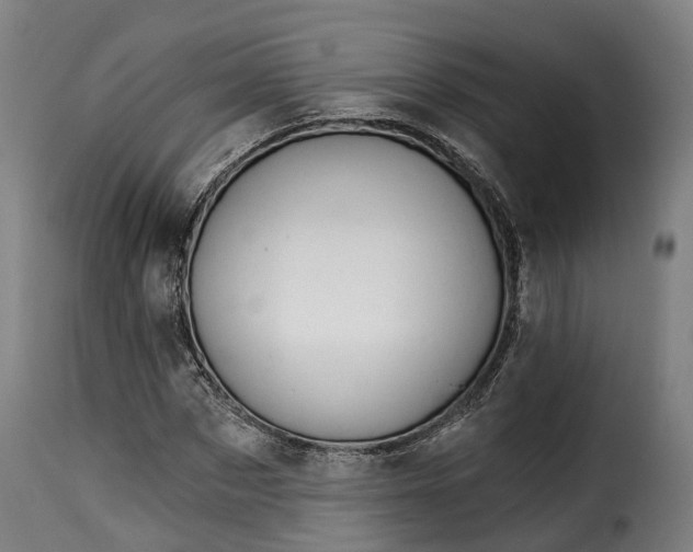 X0000115270873200911201726