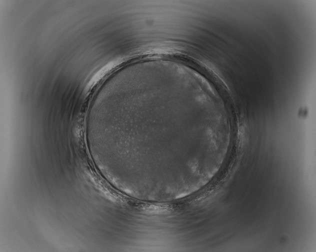 X0000115270874200911201726