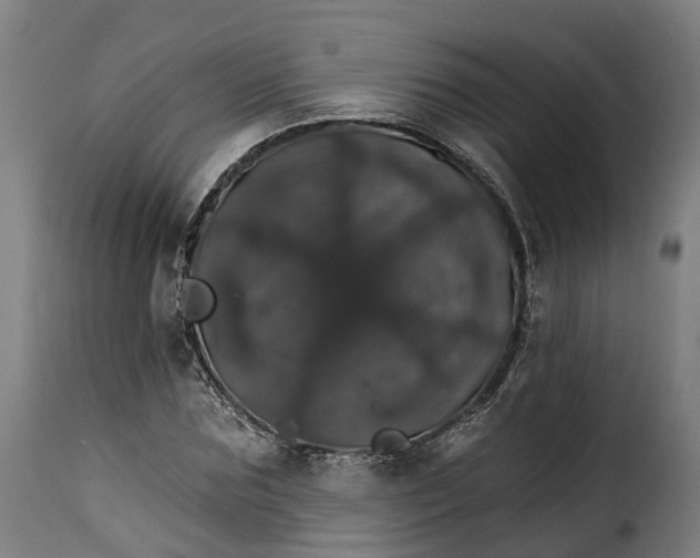 X0000115270875200911201726