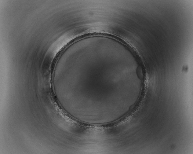 X0000115270877200911201726