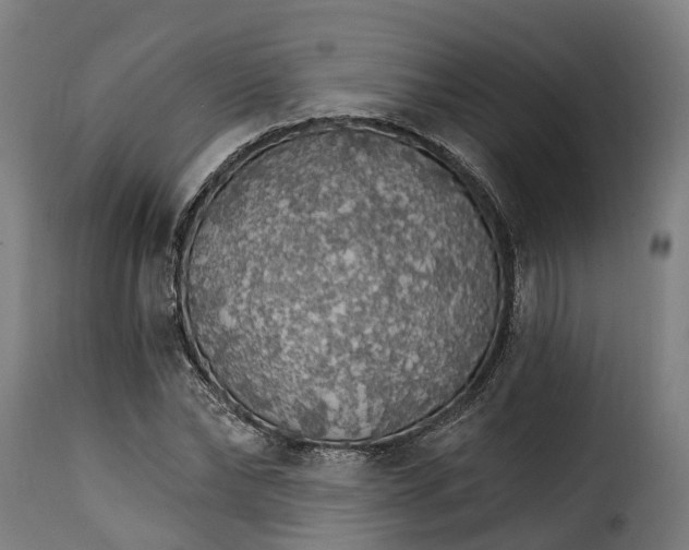 X0000115270878200911201726
