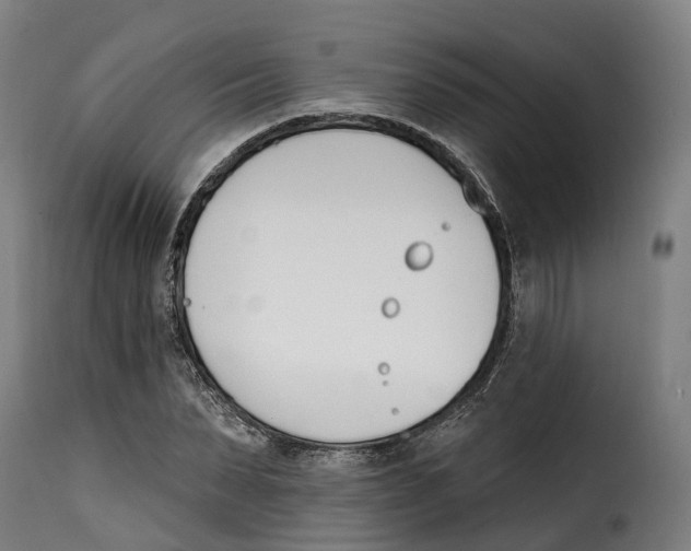 X0000115270879200911201726