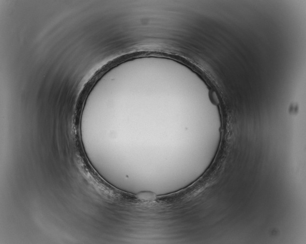 X0000115270880200911201726